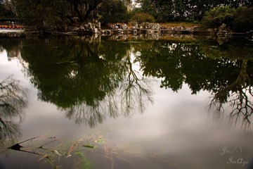DSC09801.jpg