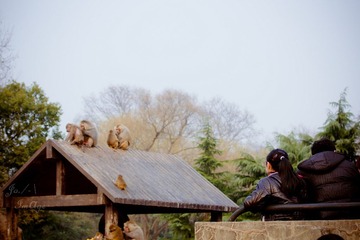 DSC09115.jpg