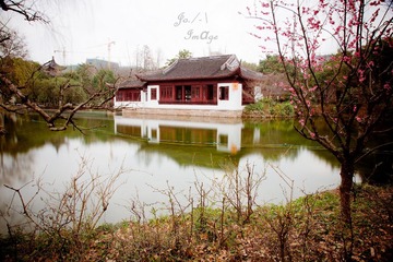 DSC09155.jpg