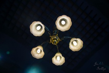 DSC09351.jpg