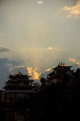 DSC00896.jpg