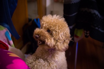 DSC00113.jpg