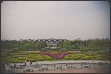 DSC00721.jpg