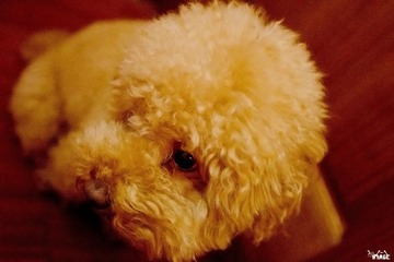 DSC00820_.jpg