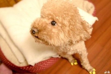 DSC02482.jpg