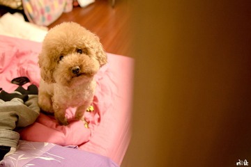 DSC02486.jpg