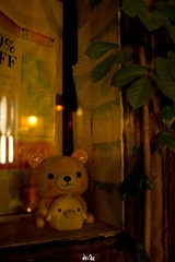 DSC02651.jpg