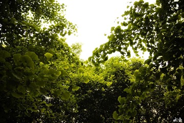 DSC03089.jpg