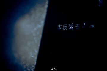 DSC03138.jpg