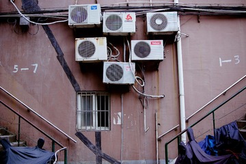 DSC03501.jpg