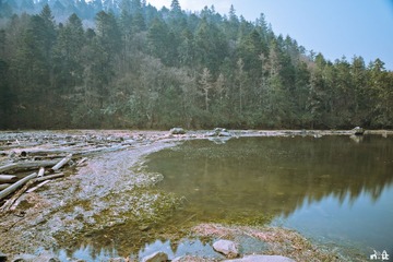 DSC00693.jpg