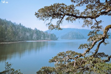 DSC00695.jpg