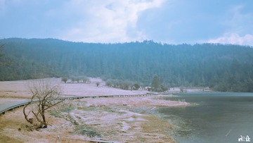 DSC00711.jpg