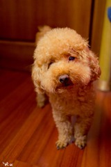 DSC04351.jpg
