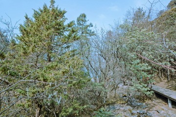 DSC00688.jpg