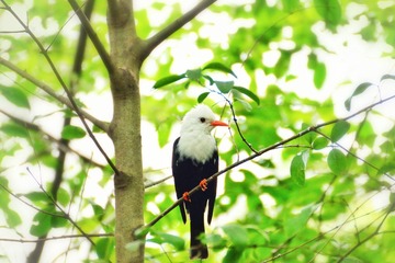 DSC00290_1