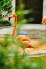 DSC00357_1