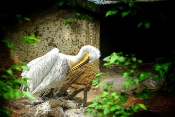 DSC00400_1