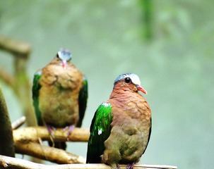DSC00474_1