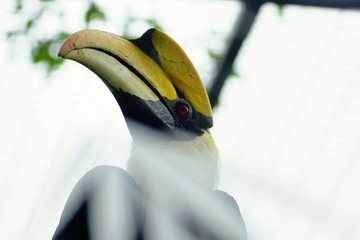 DSC00488_1