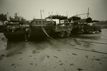DSC01168_副本.jpg