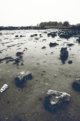 DSC01177_副本.jpg