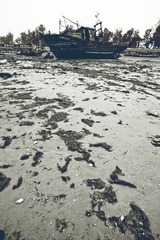DSC01179_副本.jpg