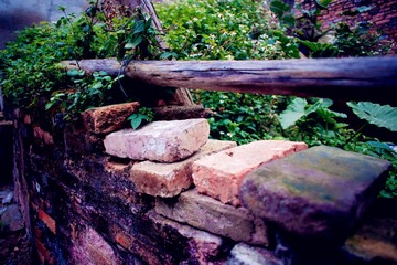 DSC01214_副本.jpg