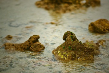 DSC01302_副本.jpg