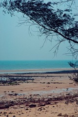 DSC01366_副本.jpg