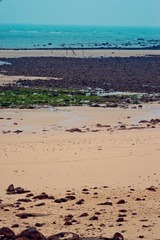 DSC01362_副本.jpg