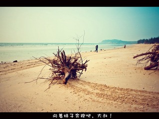 DSC01440_副本.jpg