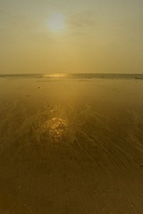 DSC01428_副本.jpg