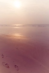 DSC01424_副本.jpg