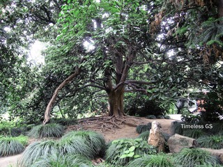 IMG_6905.jpg