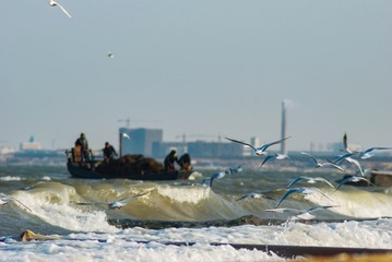 龙口海边照片 203