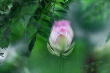 _DSC0504