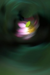 _DSC3895