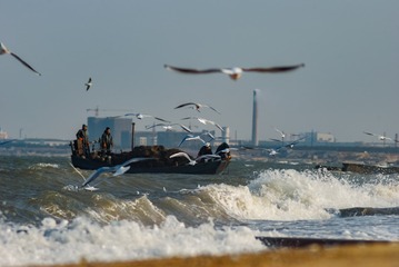 龙口海边照片 206