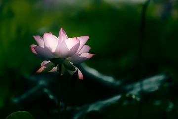 _DSC3743