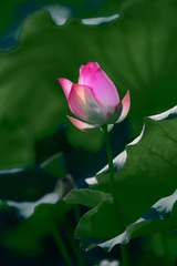 _DSC3830