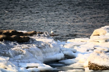 IMG_3744a.jpg
