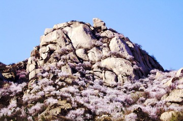 IMG_9500.jpg