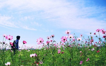 042节《色彩三大要素》.jpg