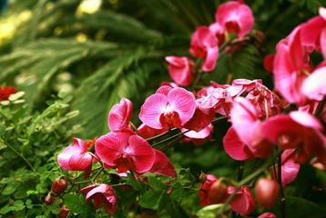 IMG_2683a.jpg