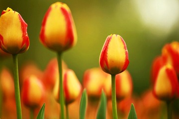 IMG_2760a.jpg