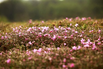 IMG_2772.jpg