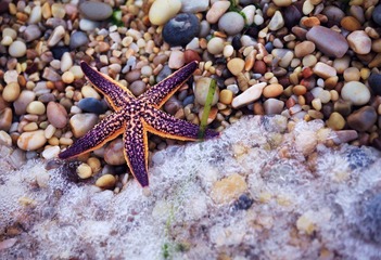 IMG_4771a.jpg