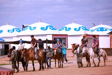 IMG_7346.jpg