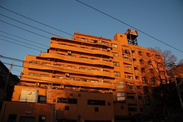 DSC_2539-fix.JPG